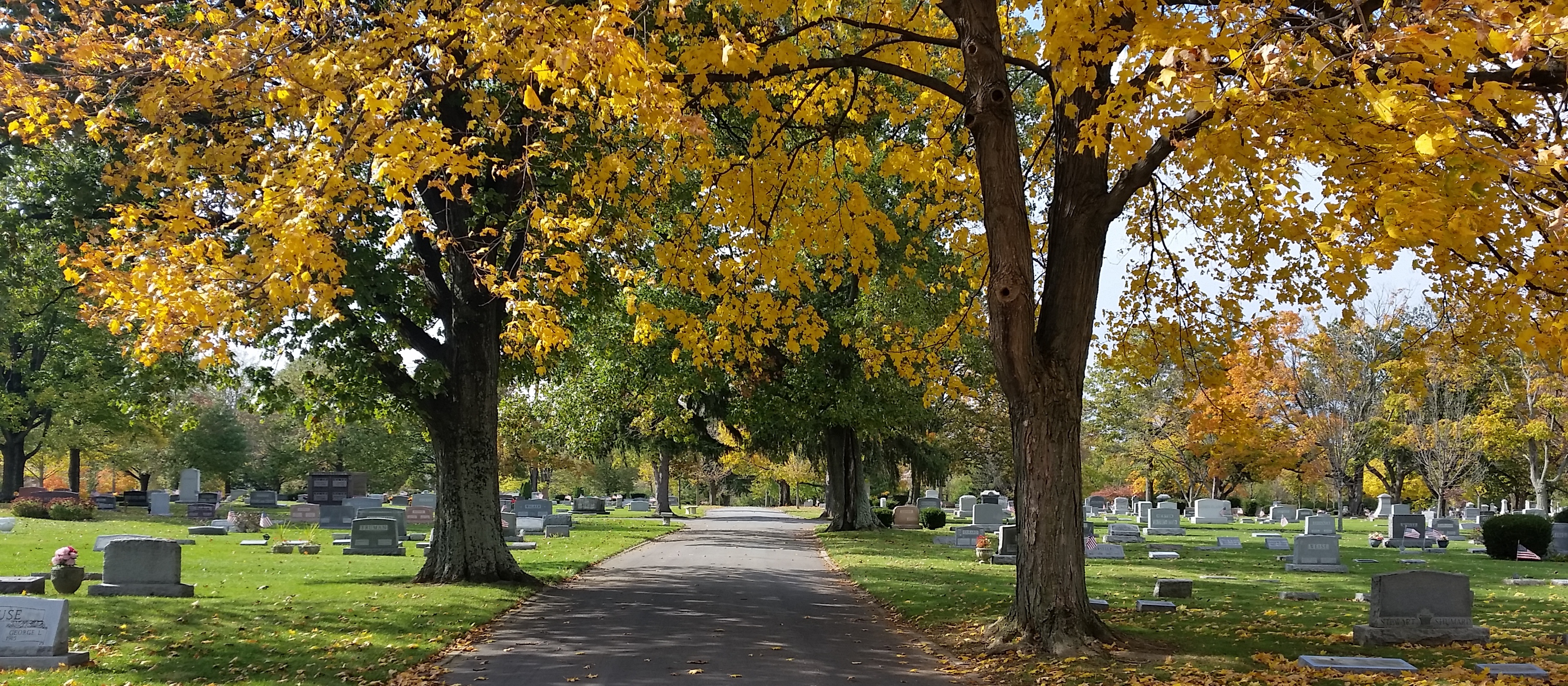 Autumn Leaves at Rose Hill Cemetery
